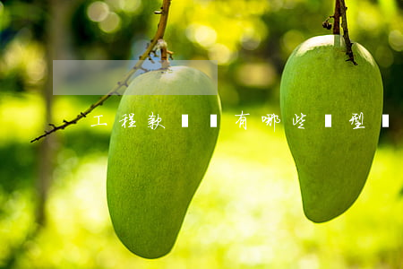 工程款糾紛有哪些類型？